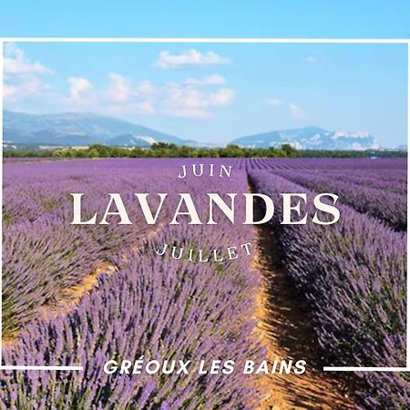 Oasis Tranquille - L'Evasion Au Verdon 格雷乌莱班 外观 照片
